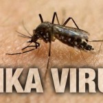 zika_vírus
